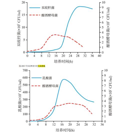益生菌發酵葡萄糖酸鈉母液生長曲線測定與分析