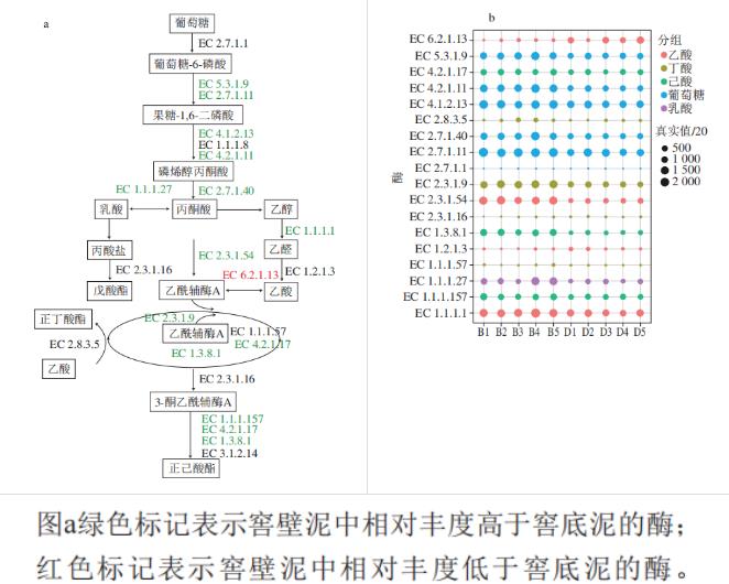 濃香型白酒窖底泥和窖壁泥細(xì)菌群落結(jié)構(gòu)差異性分析
