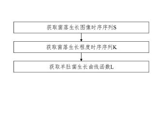 羊肚菌菌絲生長程度的識別分析方法及選育