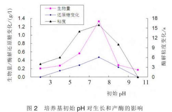 不同碳源、氮源、培養溫度、PH值對褐藻酸降解菌AGN12菌生長及產酶的影響