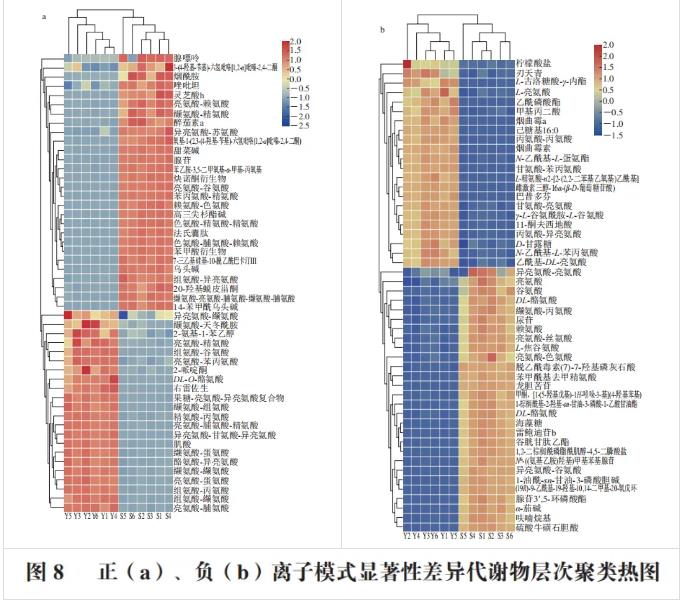 嗜黏蛋白阿克曼菌在硫乙醇酸鹽液體培養(yǎng)基中的生長情況與代謝產(chǎn)物（二）