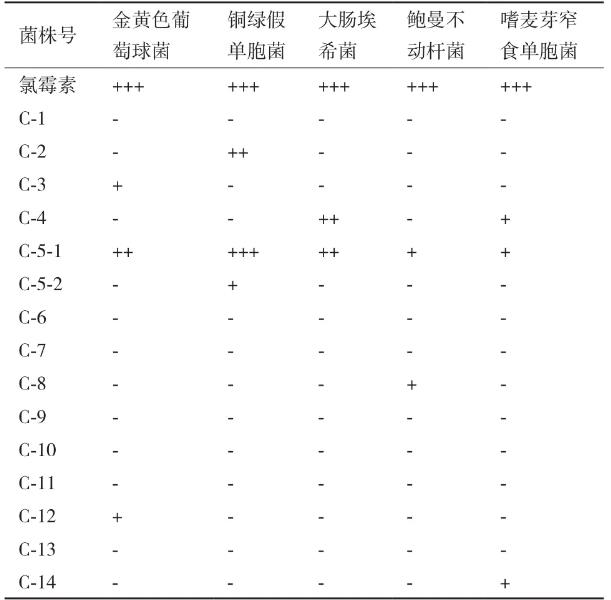 豨薟草果實內生細菌分離、鑒定、生長特性、抑菌效果及藥敏分析（一）