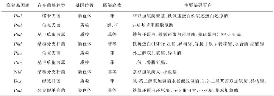綜述微生物修復菲污染中降解菌的菌屬、降解機理、分子機制、影響因素（三）