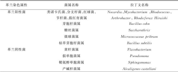 綜述微生物修復菲污染中降解菌的菌屬、降解機理、分子機制、影響因素（一）