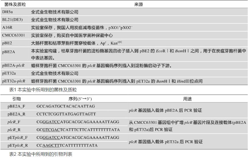 PlcR在炭疽芽胞桿菌A16R中對其生長狀態、溶血酶活性及神經磷脂酶活性影響（一）