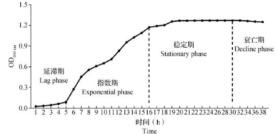 紅螯螯蝦源布氏檸檬酸桿菌分離鑒定和耐藥性分析（二）