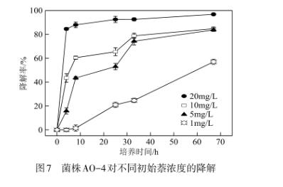 焦化污染場地中萘降解菌株AO-4鑒定、生長、降解機理及環境條件帶來的影響（四）