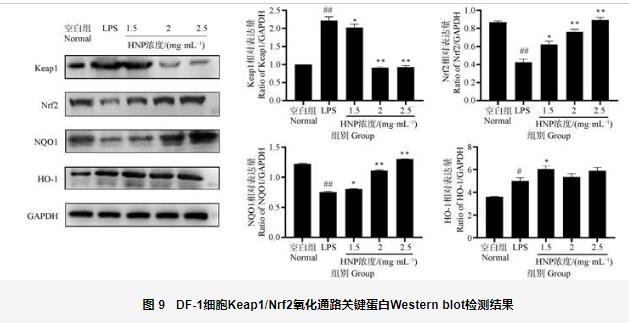呼寧散對雞肺源大腸桿菌生長曲線、細胞壁的影響及抑制效果——討論、結論