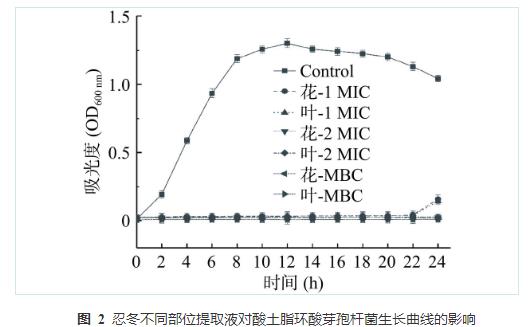 忍冬提取液對酸土脂環酸芽孢桿菌生長曲線、細胞形態和生物膜形成能力的影響（四）