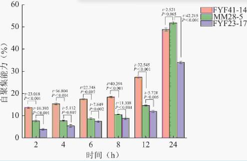 雙歧桿菌分離鑒定、耐受性試驗、益生特性試驗及安全性評價（一）