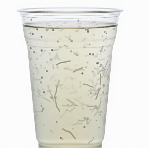 食品飲料加工用無菌化管道評估調試，也得監測細菌生長曲線？