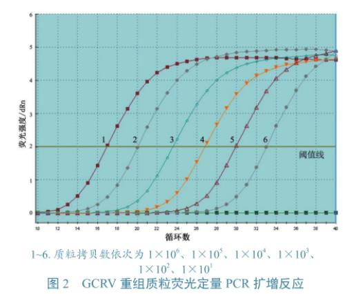 草魚呼腸孤病毒培養與滴度測定、及在草魚、CIK細胞上的生長特性研究（三）