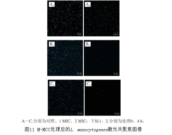 基于革蘭氏陽性菌生長曲線等指標評價纖維素基抑菌材料L-Met改性MCC（M-MCC）抑菌效果（四）
