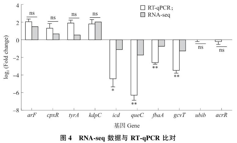 轉錄水平解析昆蟲病原線蟲共生菌菌株新型殺菌蛋白PPIA-L20基因表達調控——結果與分析